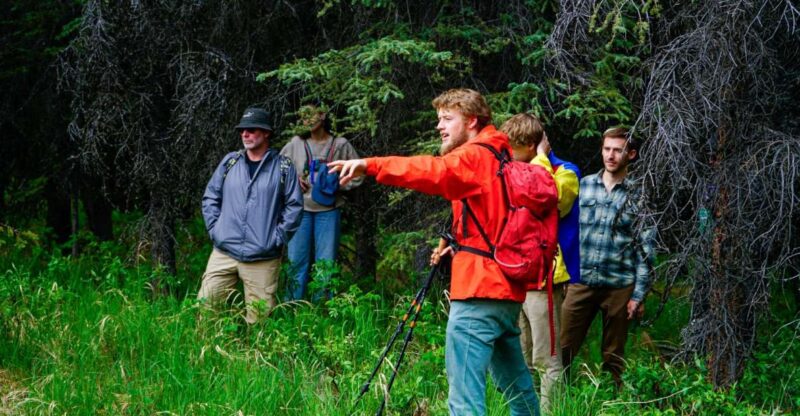 Denali: Naturalist Walking Tour in Denali National Park - Expert-Guided Naturalist Experience in Denali