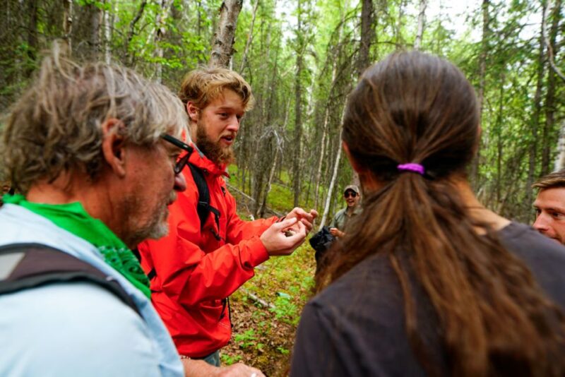 Denali: Naturalist Walking Tour in Denali National Park - Customer Satisfaction and Reviews