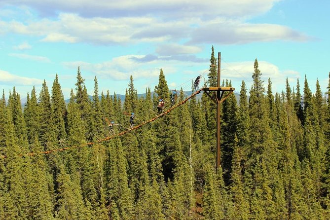 Denali Park Zipline Adventure - Exploring the Zipline Course and Suspension Bridges