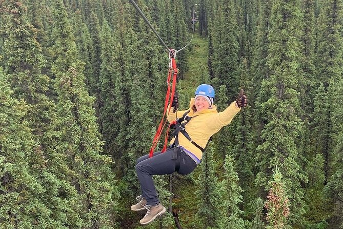 Denali Park Zipline Adventure - Scenic Views of Alaska’s Wilderness and Mountain Range
