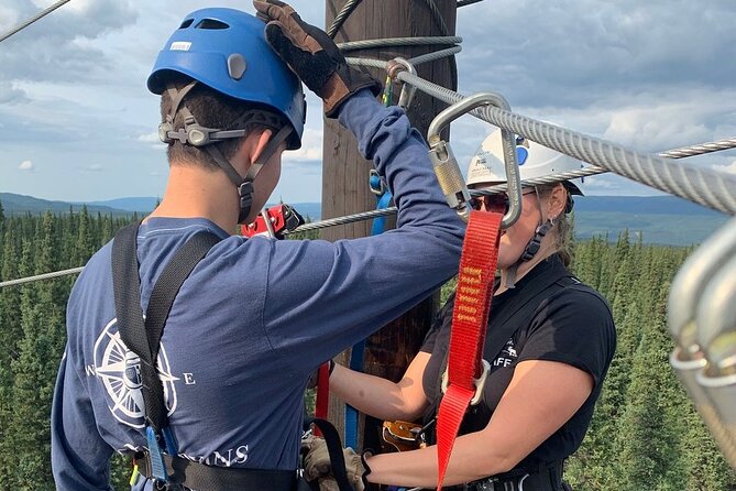 Denali Park Zipline Adventure - Practical Details and Booking Information