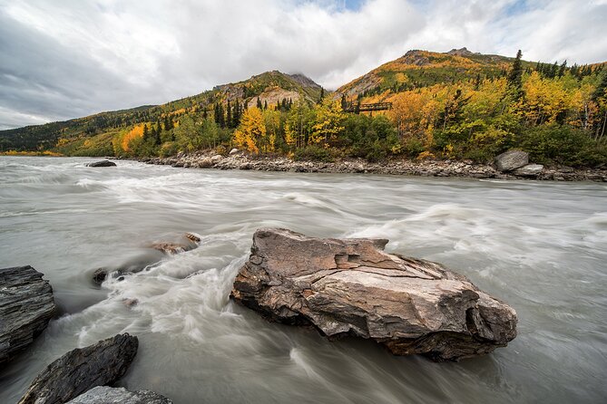 Denali Photo Excursion - Key Points