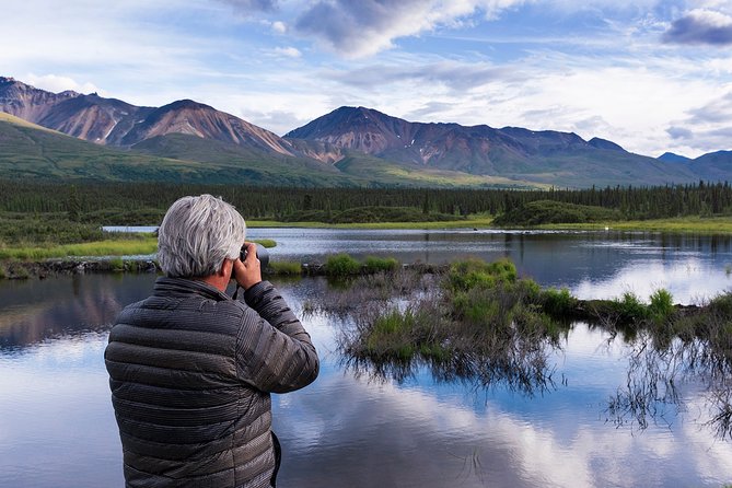 Denali Photo Excursion - The Experience for Wildlife and Landscape Photography