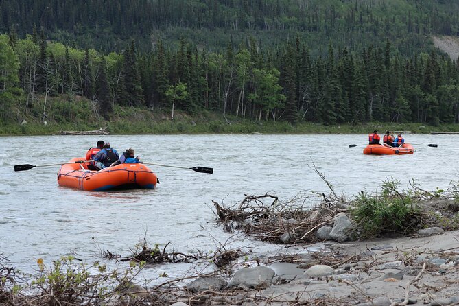 Denali Rafting Wilderness Wave - Safety, Equipment, and Guide Expertise