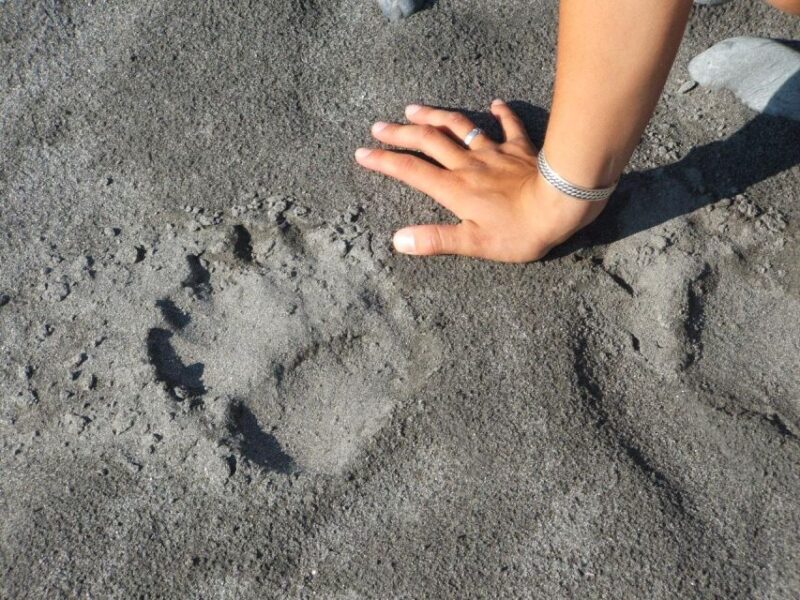 Denali State Park: Guided Byers Lake Kayaking Tour - Itinerary Breakdown and Key Stops