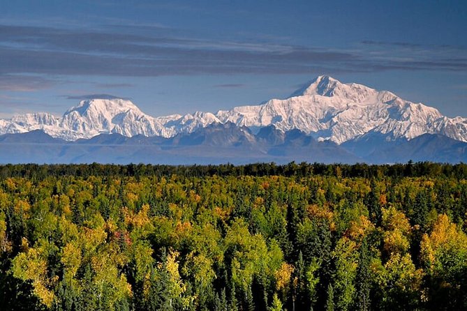 Denali Zipline Tour in Talkeetna, AK - Physical Requirements and Accessibility Tips