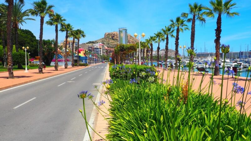 Denia - Old Town Private Walking Tour - Key Points