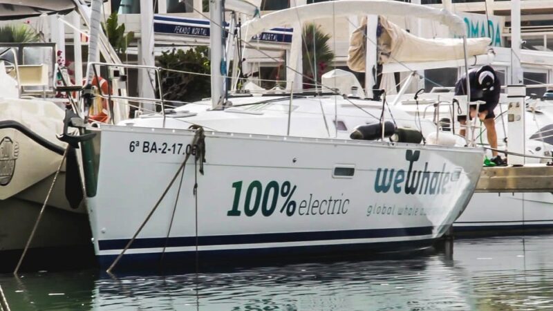 Denia: Sunset Electric Sailboat Cruise with Dolphin Spotting - A Unique Sunset Experience on a 100% Electric Sailboat in Denia