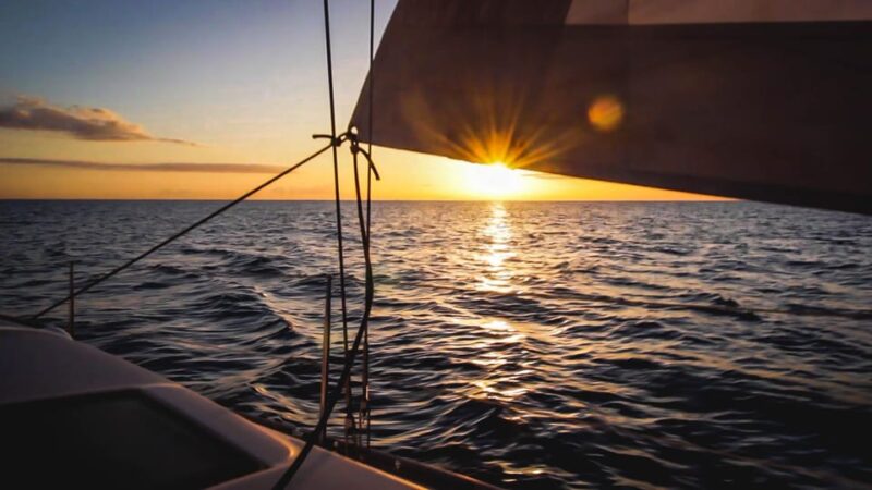 Denia: Sunset Electric Sailboat Cruise with Dolphin Spotting - Learning About Cetaceans in the Mediterranean
