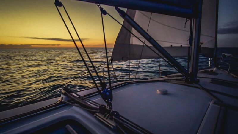 Denia: Sunset Electric Sailboat Cruise with Dolphin Spotting - Who Will Enjoy This Tour Most