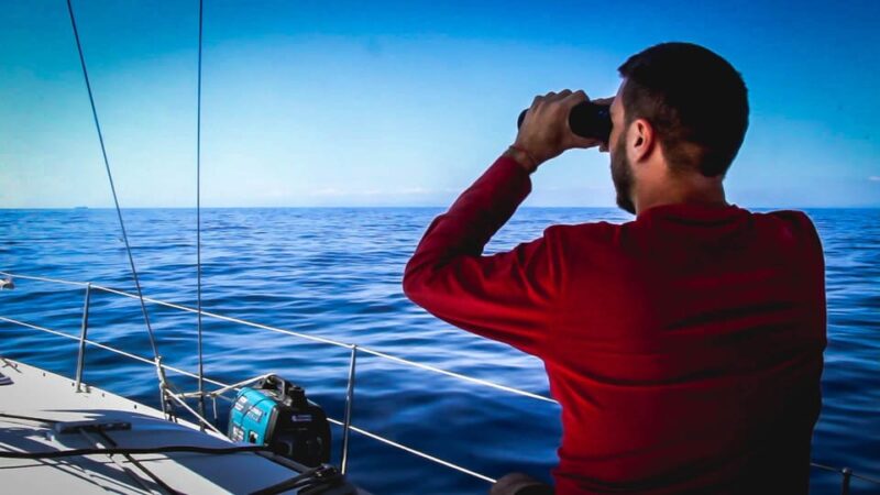 Denia: Whale and Dolphin Watching Morning Experience - Practical Tips for Your Whale and Dolphin Journey