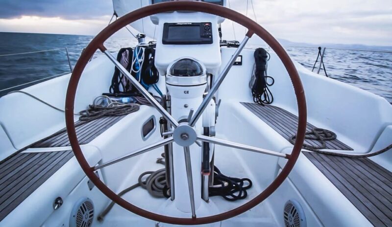 Denia: Whale and Dolphin Watching Morning Experience - The Reality of No Guarantee in Marine Wildlife Tours