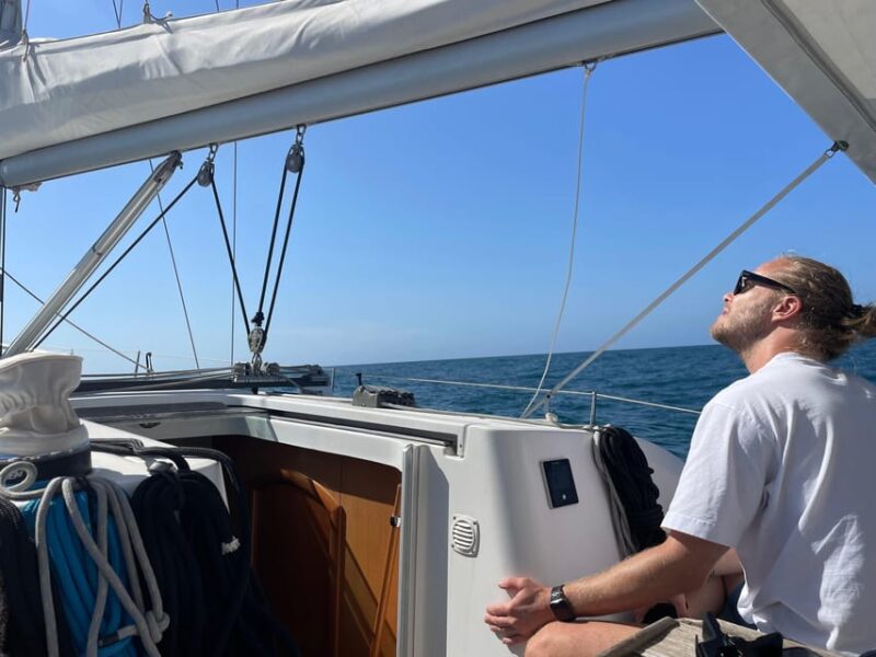 Denia: Whale and Dolphin Watching Morning Experience - Comparing This Tour to Similar Options