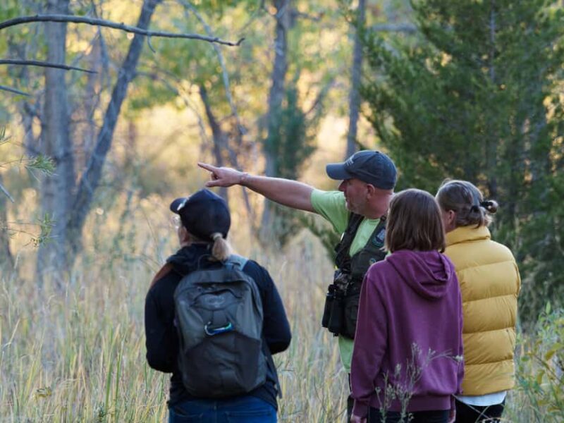 Denver: Birding Basics and Beyond - Discover Denver’s Birding Basics and Beyond for $295
