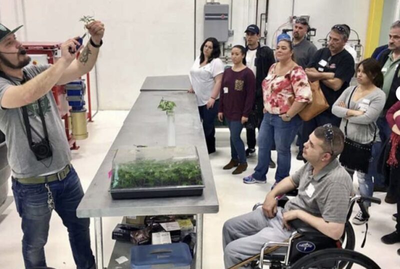 Denver: Cannabis Tour with Grow Facility Access - Discover Denver’s Unique Cannabis Industry in a 3.5-Hour Tour