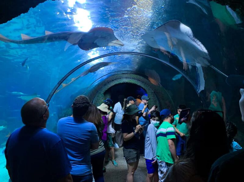 Denver: Downtown Aquarium All-Day Pass - Discover the Denver Downtown Aquarium with an All-Day Pass