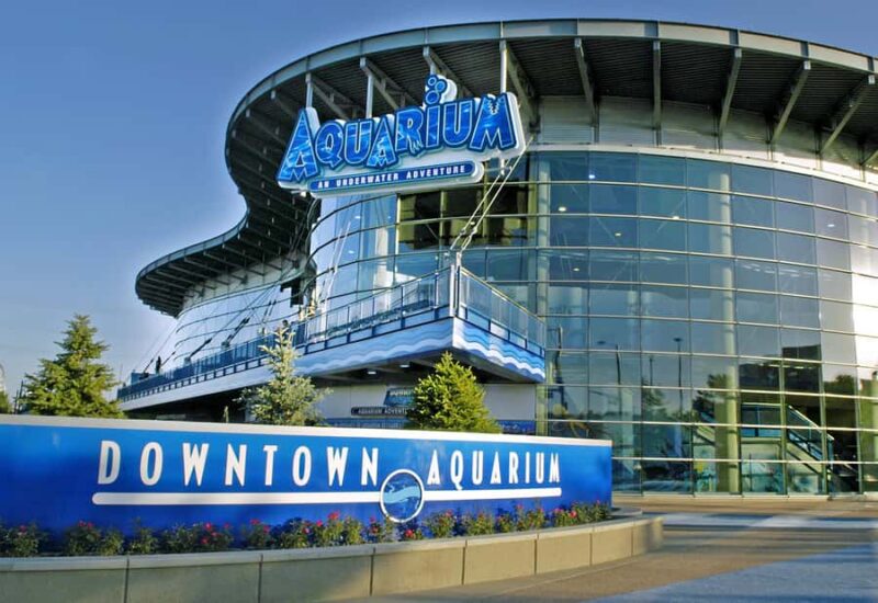 Denver: Downtown Aquarium All-Day Pass - Key Points