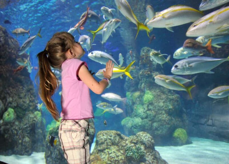 Denver: Downtown Aquarium All-Day Pass - Exploring Marine Life Exhibits and Galleries