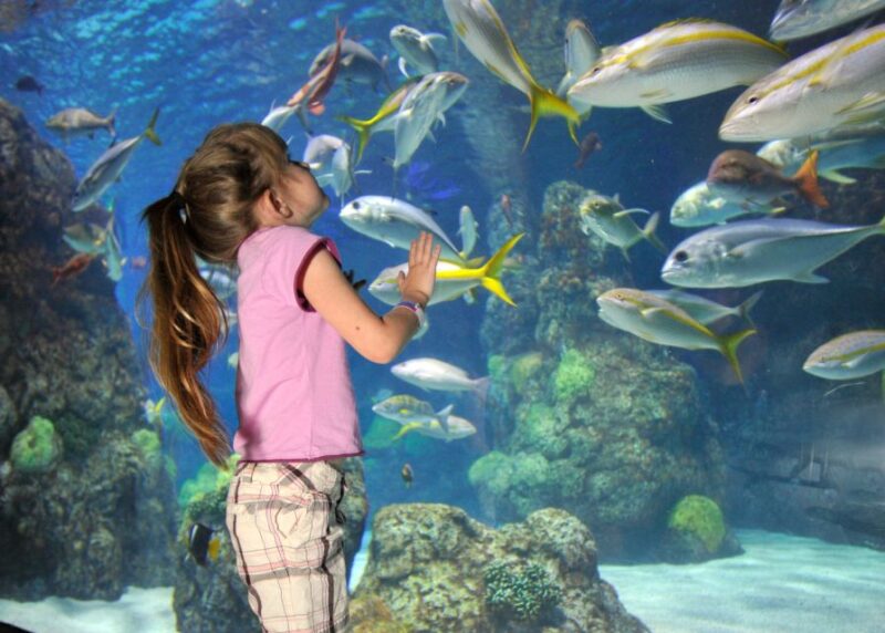 Denver: Downtown Aquarium All-Day Pass - Touch and Learn: Marine Animals Up Close