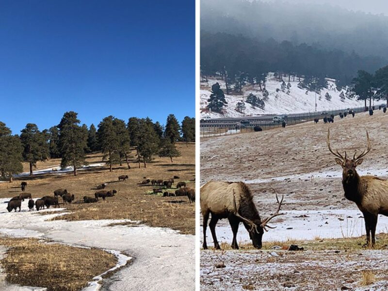 Denver: Get High on a Mountain Tour with Sunset Views - Scenic Drive Along the Lariat Loop Scenic Byway