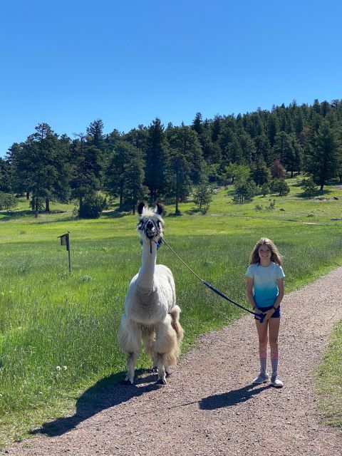 Denver: Llama Hike in the Rocky Mountains - What You Need to Bring for a Comfortable Hike