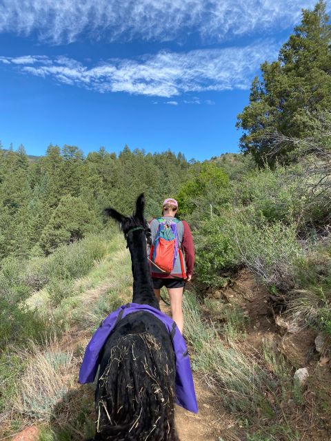 Denver: Llama Hike in the Rocky Mountains - The Experiences Flexibility and Booking Options