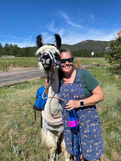 Denver: Llama Hike in the Rocky Mountains - The Cost-Effective Way to Explore the Rocky Mountains