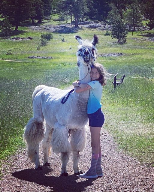 Denver: Llama Hike in the Rocky Mountains - Who Will Love This Llama Hike?