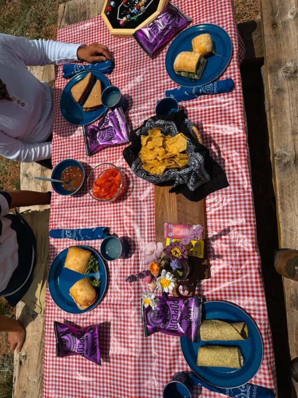 Denver: Llama Lunch in the Rocky Mountains - Meeting the Llamas and Learning From the Guides