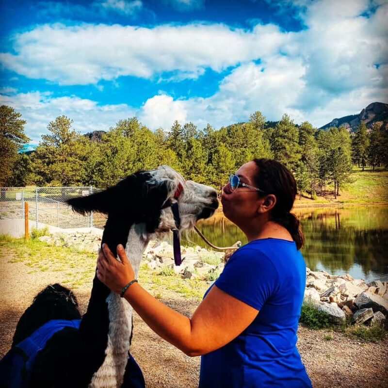 Denver: Llama Lunch in the Rocky Mountains - The Historical and Cultural Significance of the Land