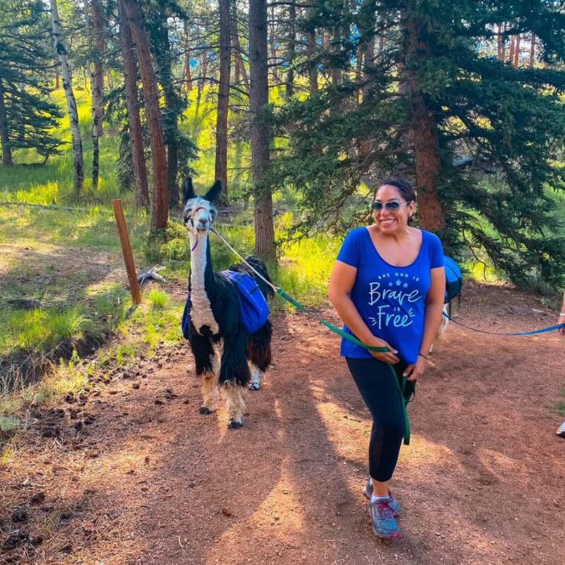 Denver: Llama Lunch in the Rocky Mountains - Denver to Staunton State Park: Easy Access and Planning