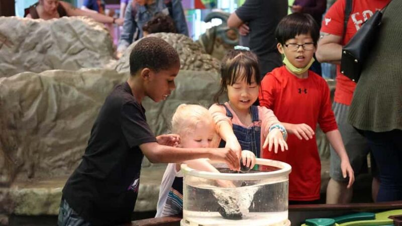 Denver: Museum of Nature and Science Entry Ticket - Key Points