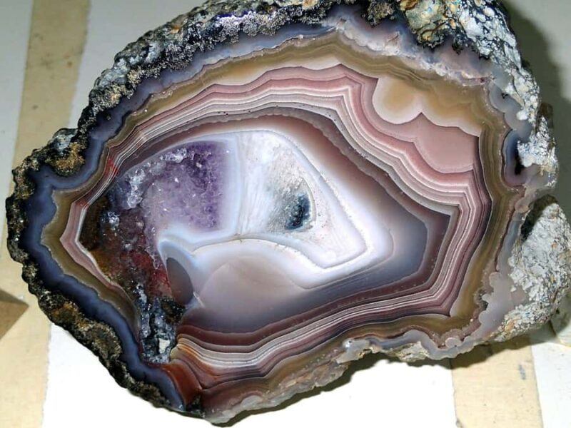 Denver: Museum of Nature and Science Ticket & Digital Tour - Frequently Asked Questions