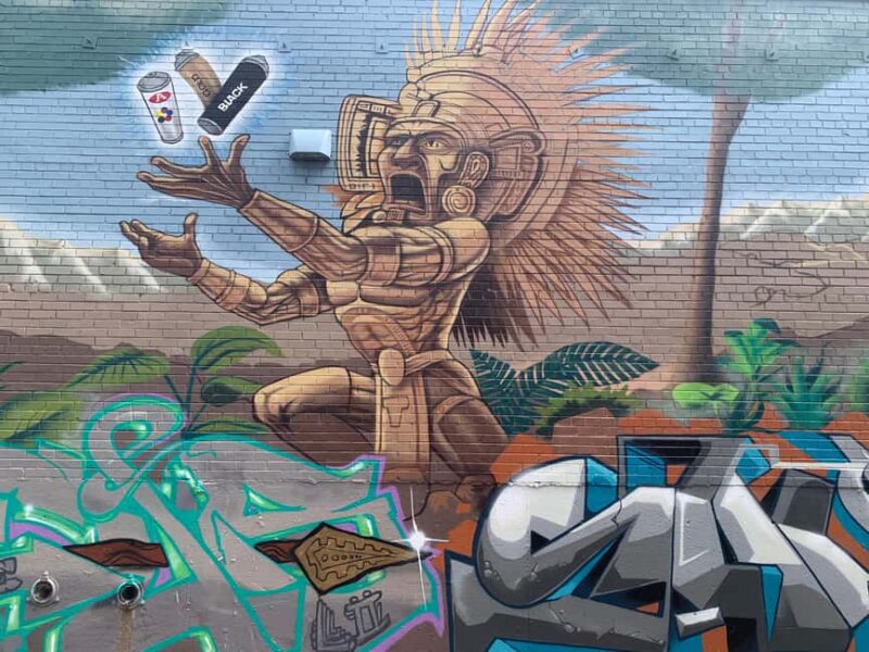 Denver: North RiNo Art District Graffiti and Street Art Tour - The Educational Content and Artist Insights