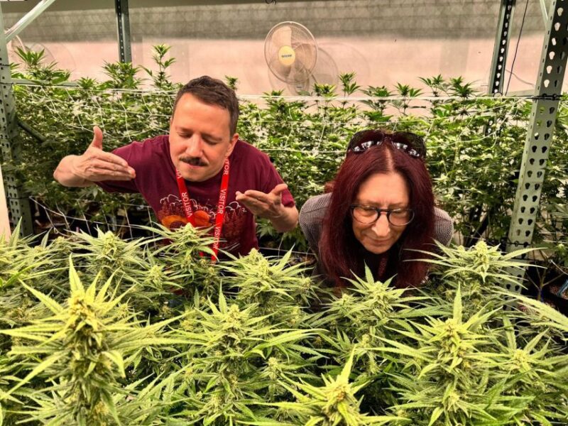 Denver: Private Luxury Cannabis Tour - Behind-the-Scenes Access to a Denver Grow Facility