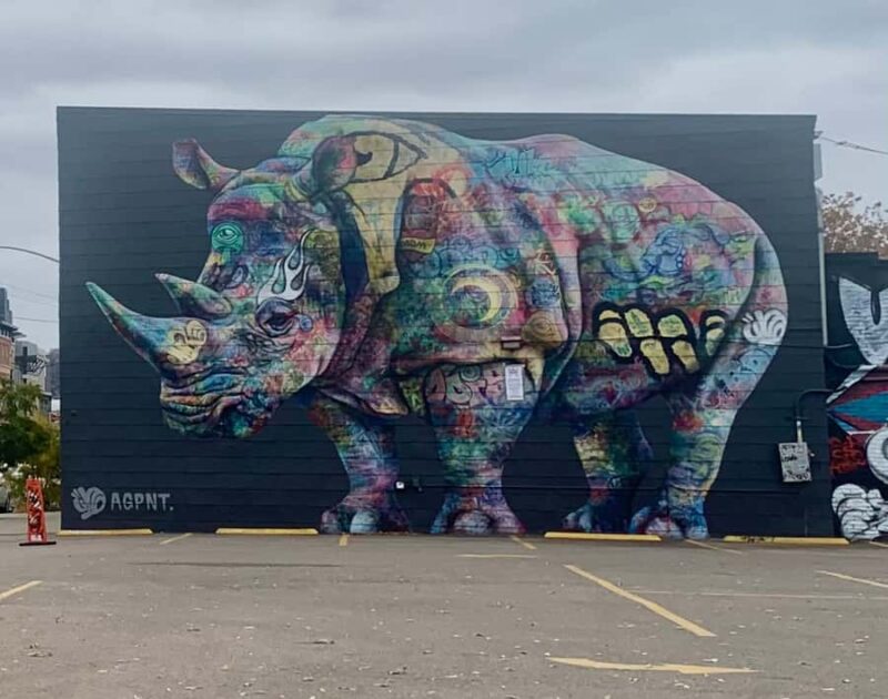 Denver: RiNo Art District Graffiti and Street Art Tour - Accessibility and Practical Tips for Tour Participants