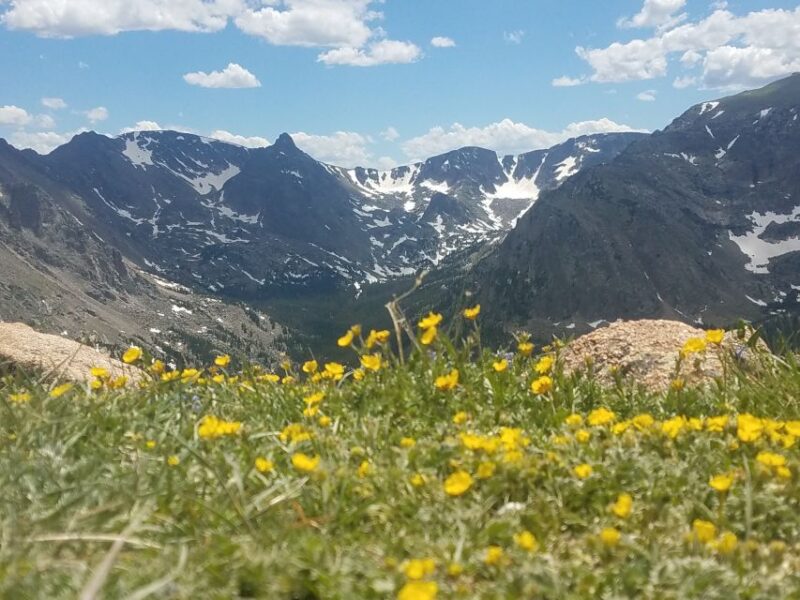 Denver: Rocky Mountain National Park Tour with Picnic Lunch - Why This Tour Stands Out From Others