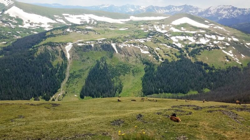 Denver: Rocky Mountain National Park Tour with Picnic Lunch - The Best Fit for This Rocky Mountain Tour