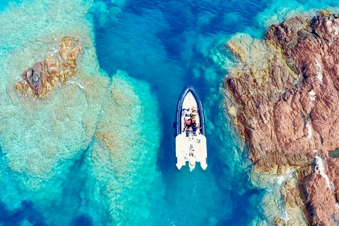 Depart Saint Raphaël: Meet the Dolphins - The Scenic Voyage into the Ligurian Sea Cetacean Sanctuary