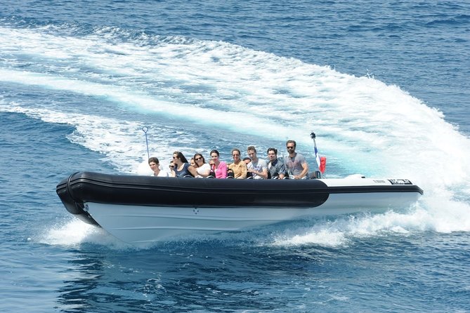 Depart Saint Raphaël: Meet the Dolphins - The Crew and Their Approach to Marine Wildlife Respect