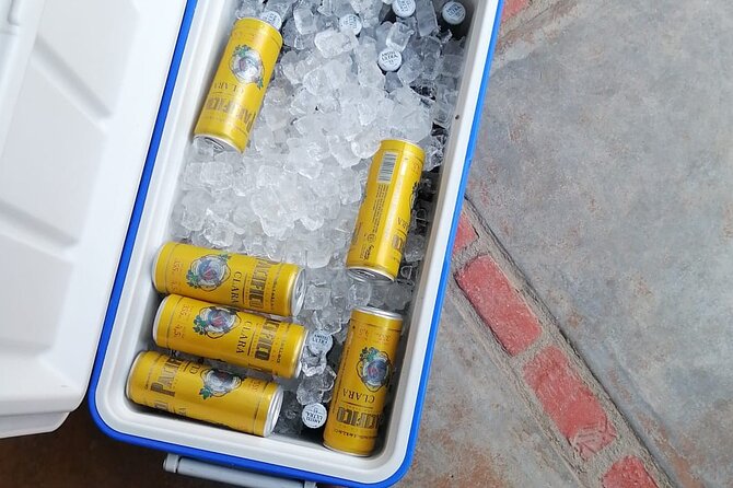 Departure shuttle to Cabo Airport - The Comfort of a Private, Air-Conditioned Shuttle