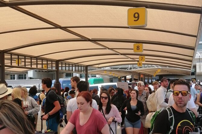 Departure shuttle to Cabo Airport - Comparing This Transfer to Other Options