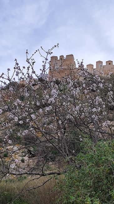 Descubriendo Almería: Un Viaje por la Historia y la Cultura - Why This Tour Stands Out in Almería