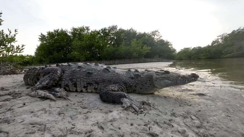 Desde Holbox: SunSea- SUNSET Kayak - Paddling Toward the Kuká River Entrance