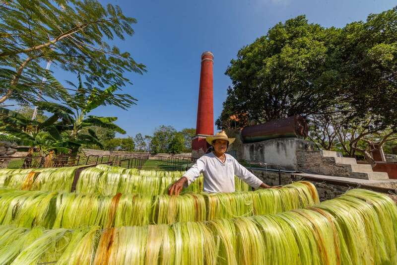 Desde Mérida: Haciendas de Yucatán - The Unique Transportation Experience: Wooden Platforms and Mules