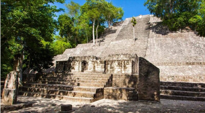 Desde Palenque: Zona Arqueológica Calakmul - Explore the Mayan City of Calakmul from Palenque for $204