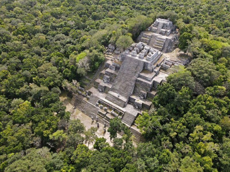 Desde Palenque: Zona Arqueológica Calakmul - Discovering the Archaeological Wonders of Calakmul