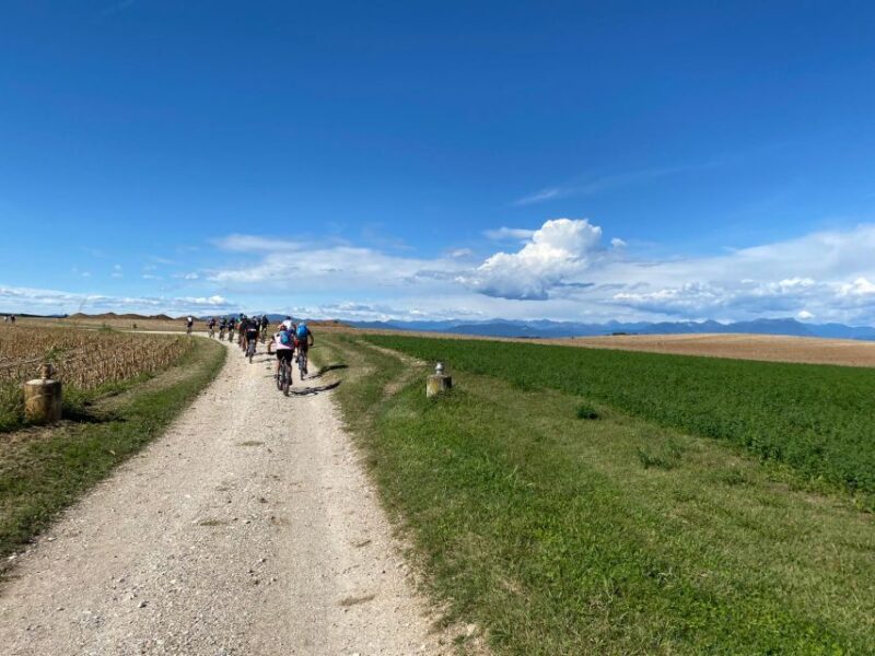 Desenzano: e-Bike Tour with Wine Tasting - The Guide and Group Experience