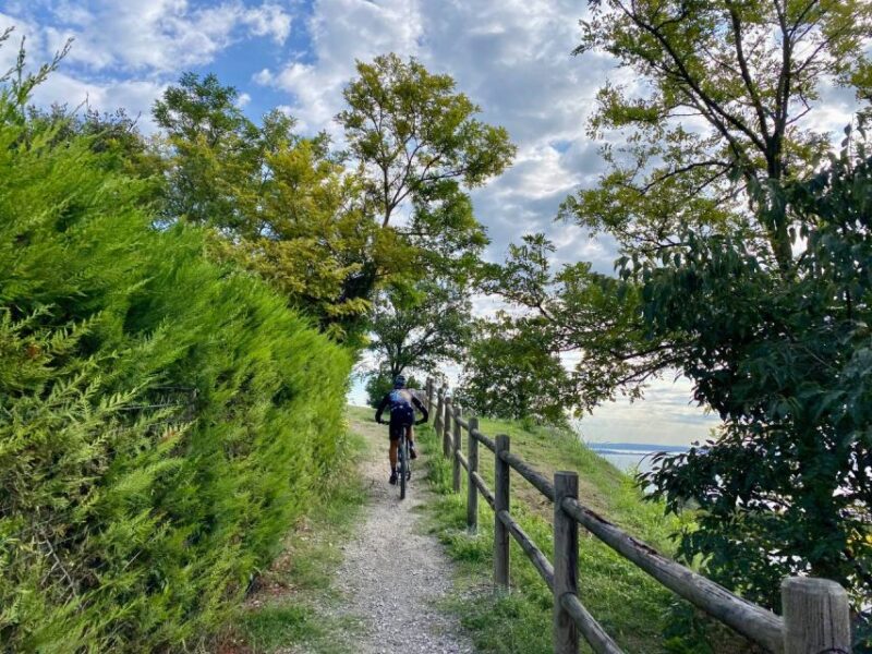 Desenzano: e-Bike Tour with Wine Tasting - What’s Noted About Accessibility and Physical Requirements