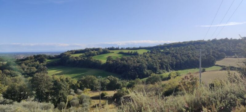 Desenzano: e-Bike Tour with Wine Tasting - Unique Aspects That Set This Tour Apart
